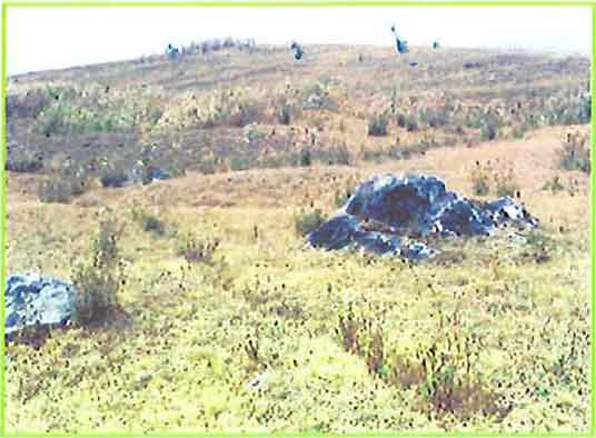 Marble Unit In Leucogranite Body photo image