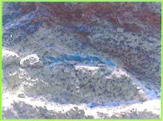 Chrysophase Vein photo image