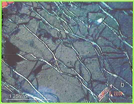 Close-Up of Serpentine photomicrograph image