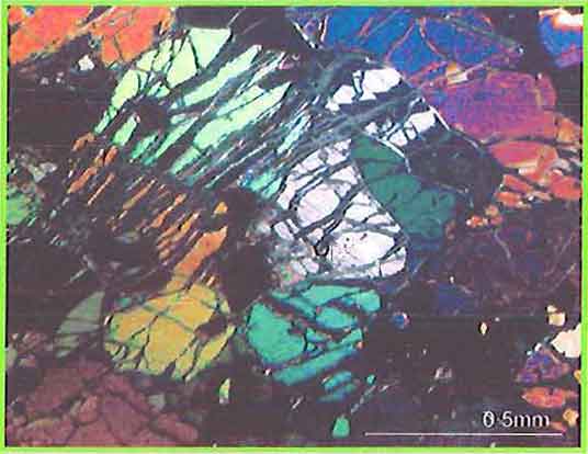 Orthopyroxene In Peridotite photomicrogaph image