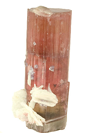 Tourmaline photo image