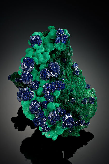 Azurite On Malachite photo image