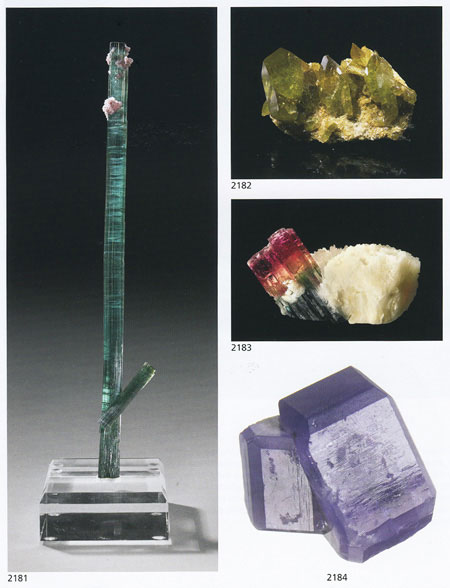 Catalog page image