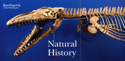 Natural History catalog image