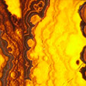 News thumbnail image