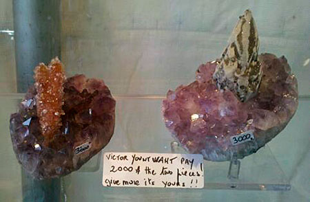 Specimens photo image