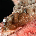 News thumbnail image