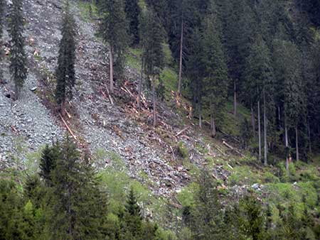 Landslide photo image