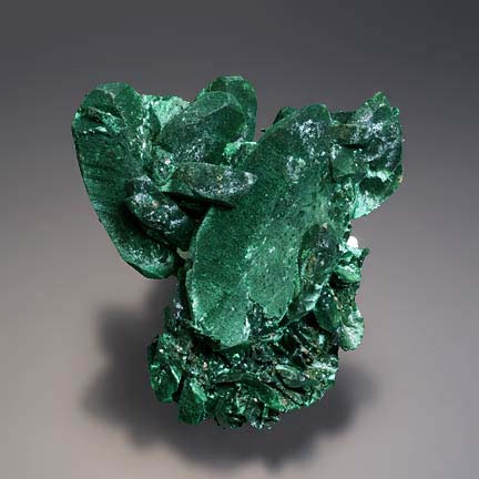 Malachite Pseudomorphite After Azurite photo image