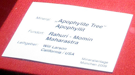 Label photo image