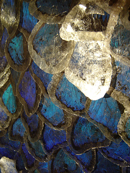 Pellucid photo image