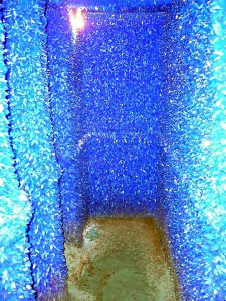 Seizure photo image
