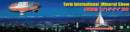 Turin Show title image