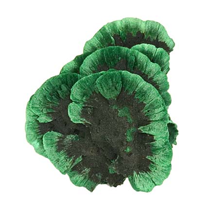 Malachite photo image