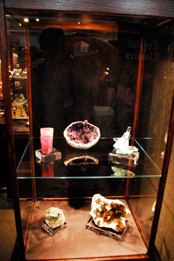 Display Case photo image