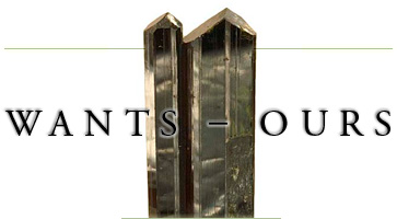 Wants - Ours title image